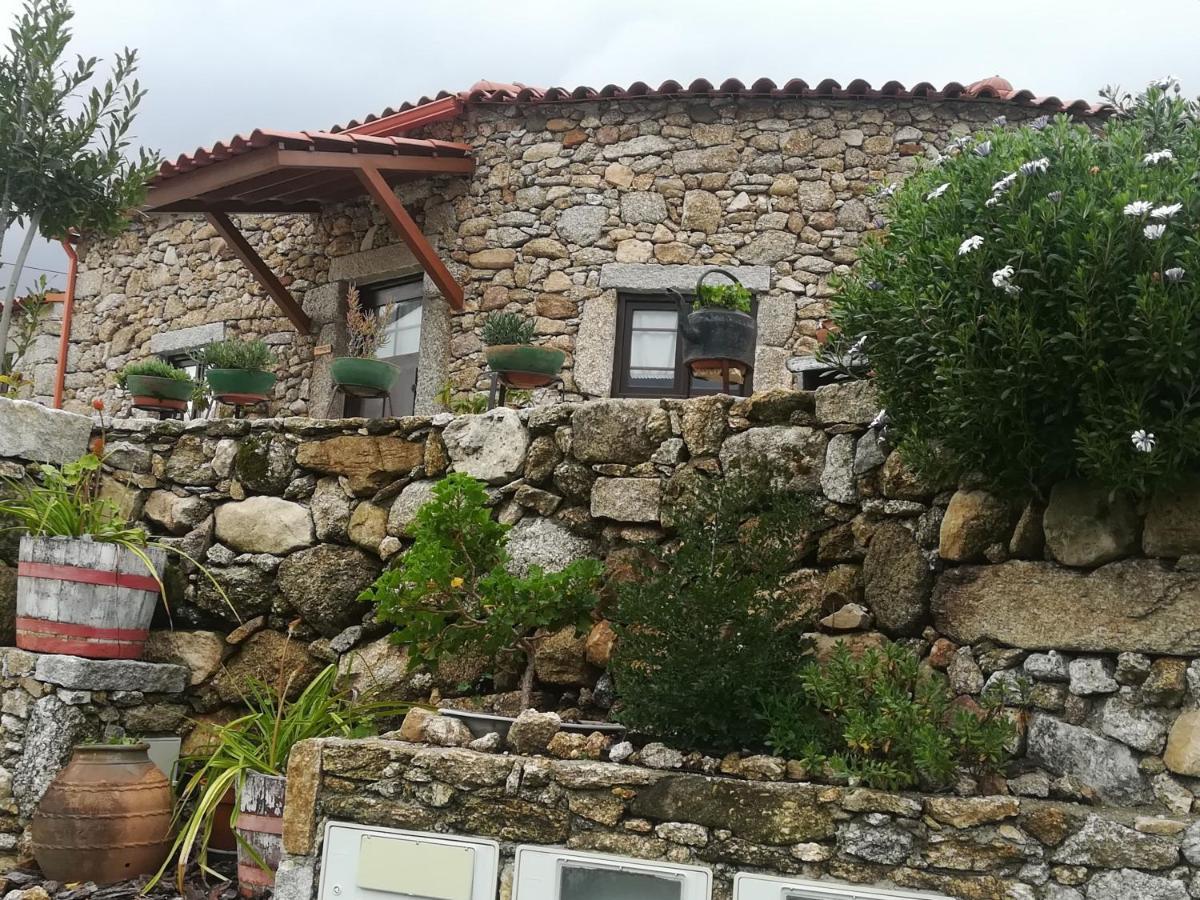 מלון פנאלבה דו קסטלו Eiras Do Dao מראה חיצוני תמונה