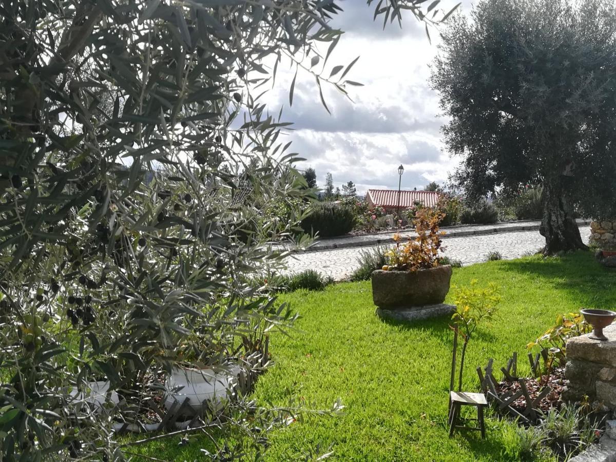 מלון פנאלבה דו קסטלו Eiras Do Dao מראה חיצוני תמונה